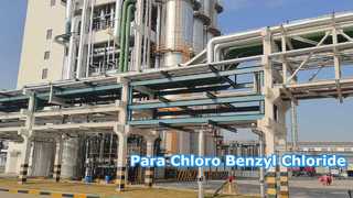 파라클로로벤질염화물 - Changzhou Xindong Chemical Industry Development Co., Ltd.